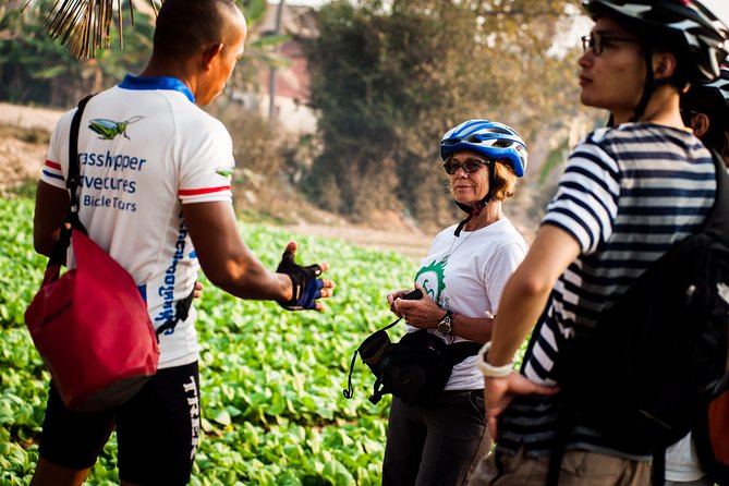 Siem Reap Countryside Guided Tour by Bike and E-Bike Private Tour - West Baray beside an Angkor-era reservoir
