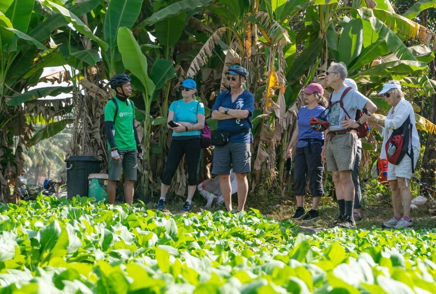 Siem Reap: Guided Countryside Bike Tour - Heat, traffic, and comfort tips