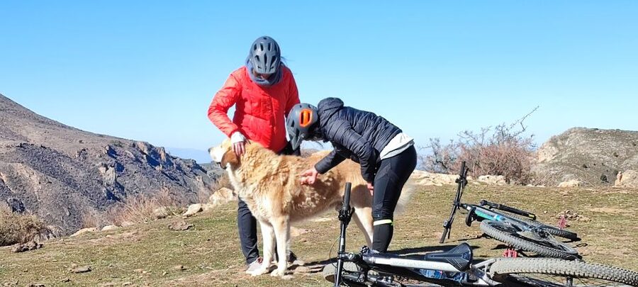 Sierra Nevada Small Group E-Bike Tour - Mulhacén, Mountain Goats, and the Changing Scenery