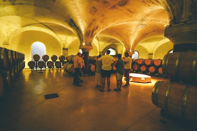 Small-group Amarone Wine e-Bike Tour from Verona - Inside the winery for Valpolicella and Amarone