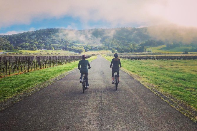 Sonoma Valley Pedal Assist Bike Tour with Lunch - Why this is a good way to see Sonoma Valley