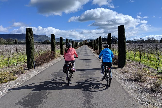 Sonoma Valley Pedal Assist Bike Tour with Lunch - Buena Vista or Gundlach Bundschu