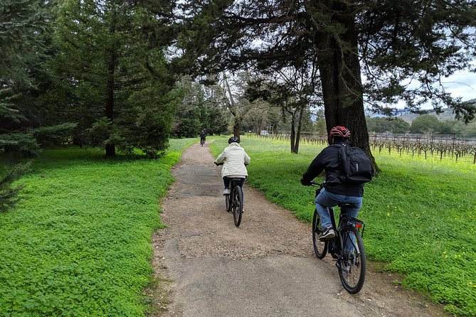 Sonoma Valley Pedal Assist Bike Tour with Lunch - What happens to your wine purchases