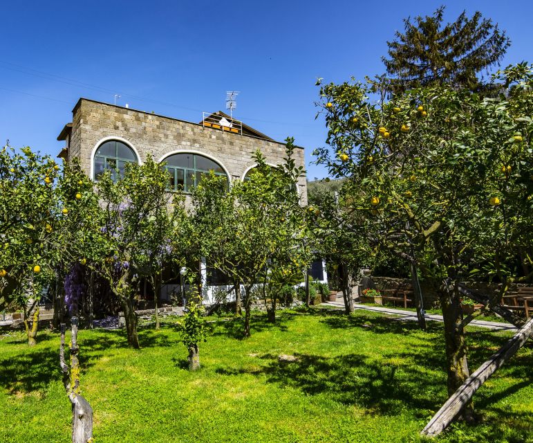 Sorrento: Coast E-Bike Tour with Limoncello Tasting - Who should book this Sorrento bike tour?