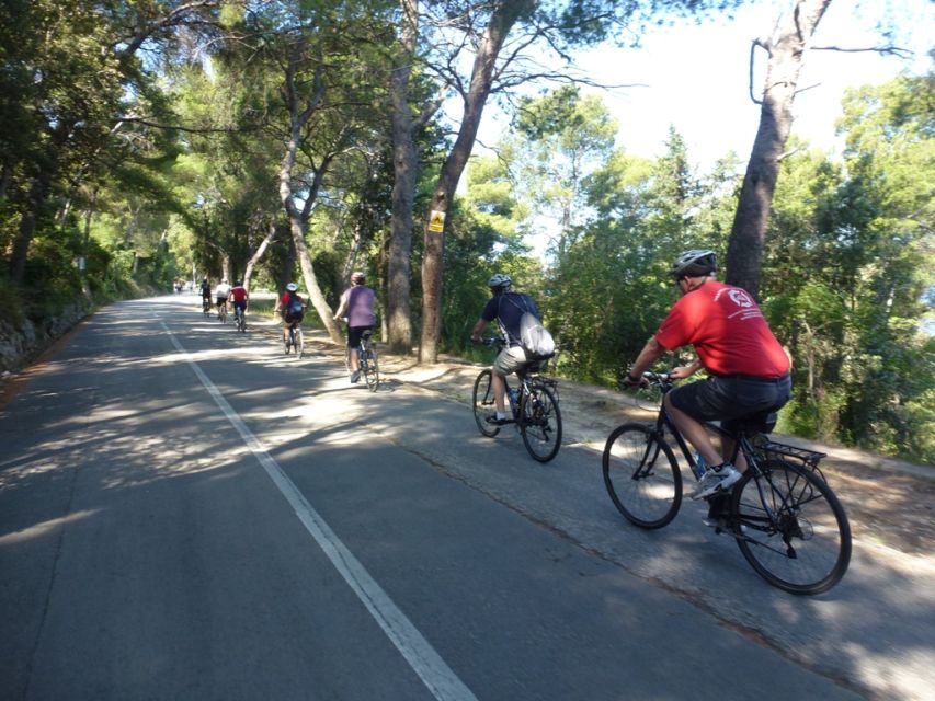 Split 3-Hour Guided Bike Tour - Bike choice, fitness, and group comfort