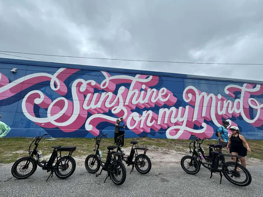 St. Petersburg, FL: Sightseeing & Murals Electric Bike Tour - The New St. Petersburg Pier and Central Avenue