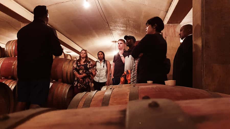 Stellenbosch: Historical Bike Tour & Wine Tasting - Why cycling is the right way to see Stellenbosch