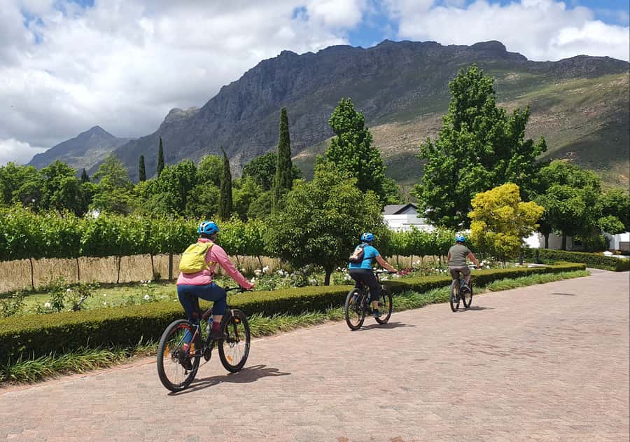 Stellenbosch: Historical Bike Tour & Wine Tasting - Second estate: Cape Dutch buildings, cellar, and chocolate