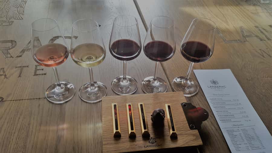 Stellenbosch: Historical Bike Tour & Wine Tasting - The return through Stellenbosch University