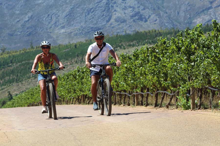 Stellenbosch: Wine Farm E-Bike Guided Tour - Key points at a glance