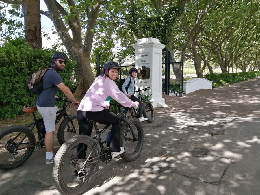Stellenbosch: Wine Farm E-Bike Guided Tour - Starting at Lanzerac and getting your bike ready