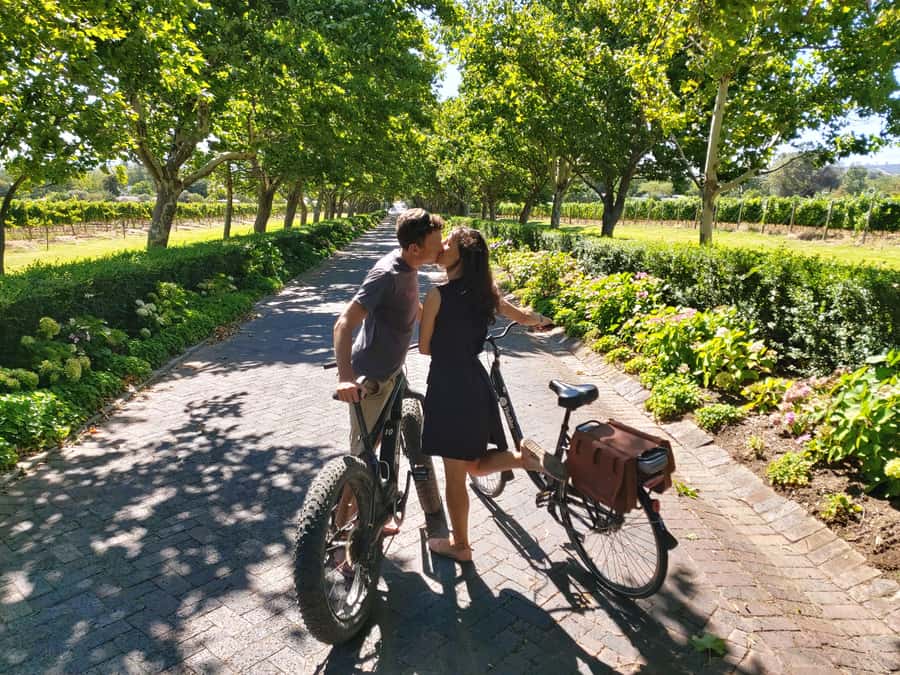 Stellenbosch: Wine Farm E-Bike Guided Tour - What the first wine farm adds