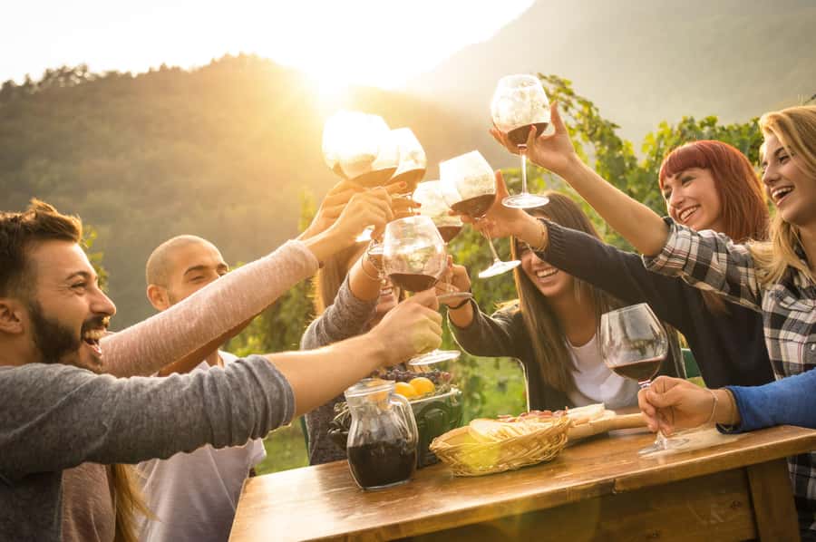 Stellenbosch: Wine Farm E-Bike Guided Tour - Returning by e-bike instead of bus