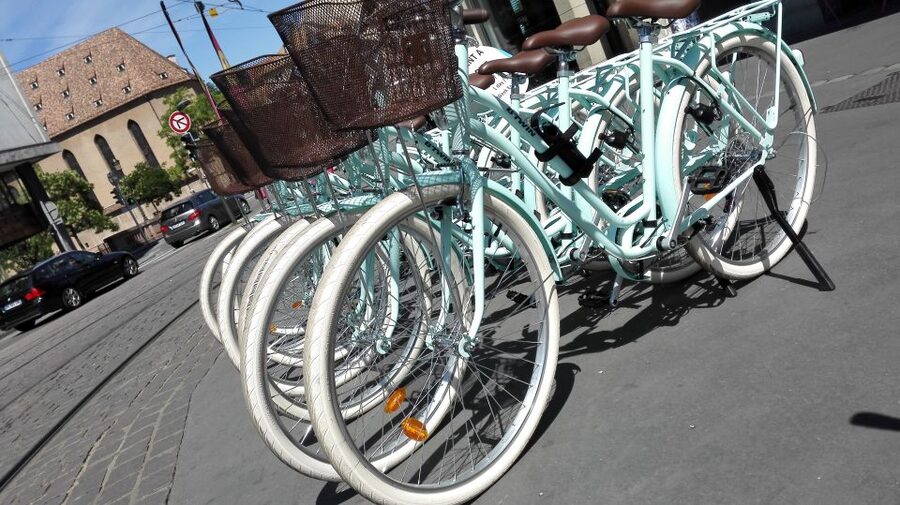 Strasbourg: 1-Day Bike Rental - Starting at 5 Petite Rue du Vieux Marché aux Vins