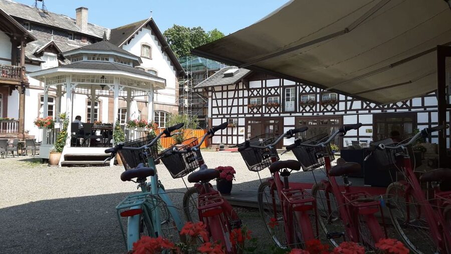 Strasbourg: 1-Day Bike Rental - Pedaling through Petite France