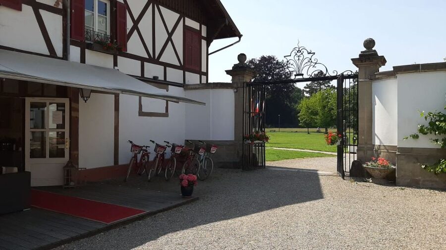 Strasbourg: 1-Day Bike Rental - Reaching Strasbourg Cathedral by bike