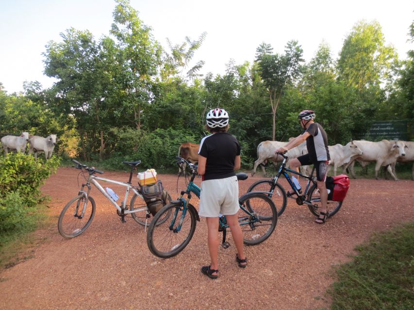 Sukhothai: Historical Park & Countryside Cycling Tour - Why cycling gives Sukhothai more meaning