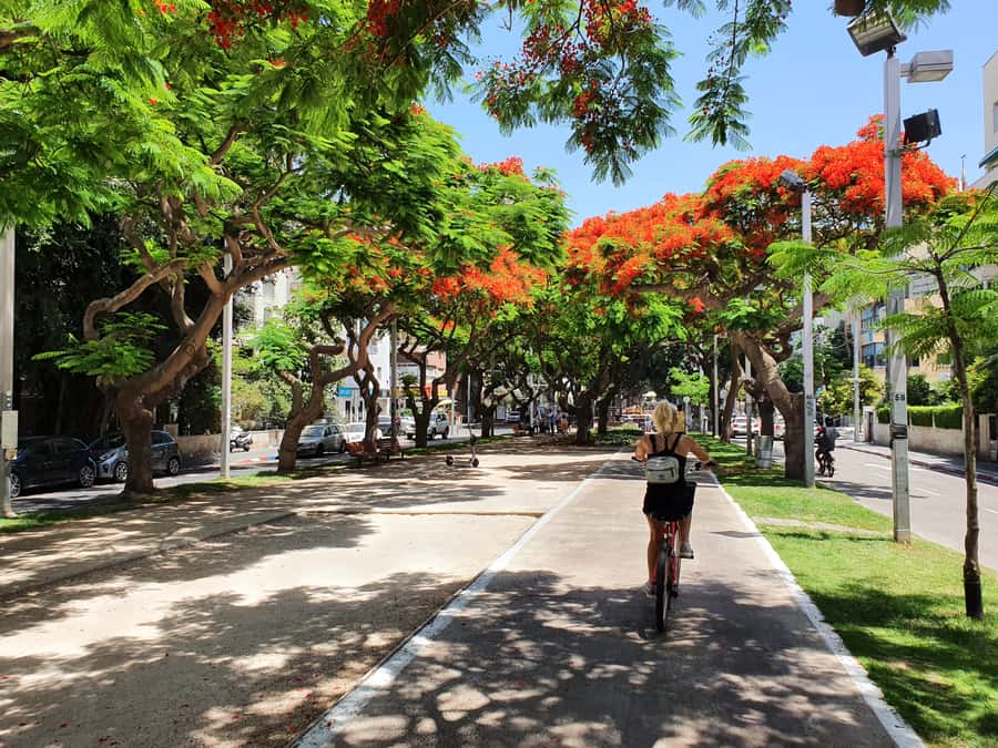 Tel Aviv 3-Hour Easy Bike Tour - Rabin’s Square and the Ben Gurion Museum