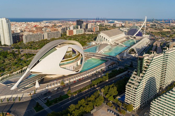 The Beauty of Valencia by Bike: Private Tour - Veles e Vents, the port, and the Formula 1 circuit