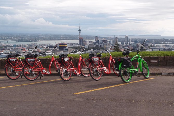 The Classic: our most popular electric bike tour of Auckland's Highlights - Auckland Domain and the museum connection