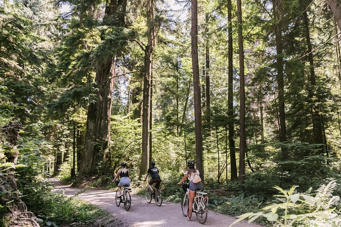 The Stanley Park Bicycle Tour by Cycle City Tours - Into Stanley Park’s Temperate Rainforest