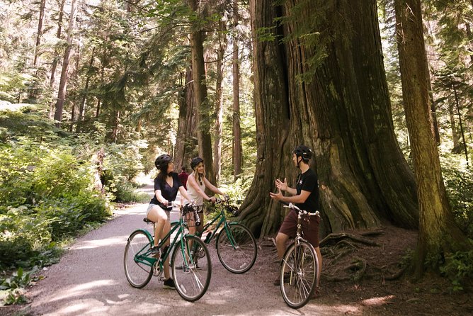 The Stanley Park Bicycle Tour by Cycle City Tours - The Seawall, Mountains, and Third Beach