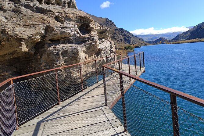 The Ultimate Lake Dunstan Bike Hire And Boat Experience - Choosing between a regular bike and an e-bike