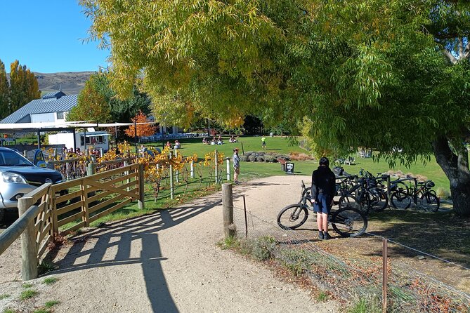 The Ultimate Lake Dunstan Bike Hire And Boat Experience - Starting in Cromwell at 9:10 am