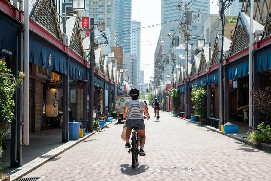 Tokyo: 3-hour Guided E-Bike Tour of the City's Hidden Gems - Key points to know before you book