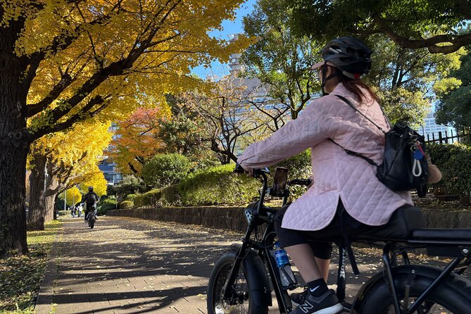 Tokyo Top Highlights 3h Guided E-bike Tour - Tokyo Bay Route: shrines, modern buildings, and sunset views