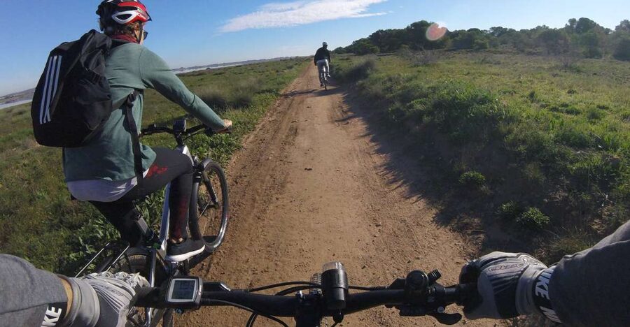 Torrevieja: Natural Parks e-Bike Tour - From the yacht club to Torrevieja’s open spaces