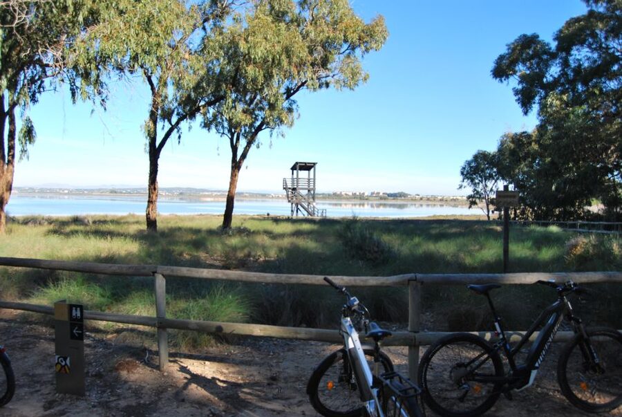 Torrevieja: Natural Parks e-Bike Tour - La Mata Natural Park and the beach route