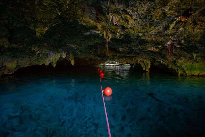 Tulum: Cenote Trail Bike Tour - Cenote Escondido and underwater wildlife