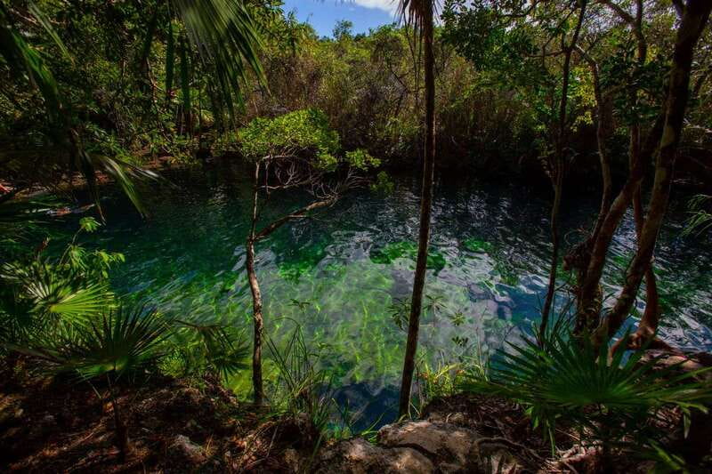 Tulum: Cenote Trail Bike Tour - Who should book this Tulum bike tour?