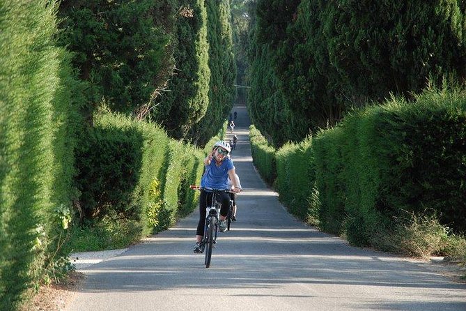 Tuscany Bike Tours Through the Chianti Hills with Wine Tasting - Two hours among vineyards and olive groves