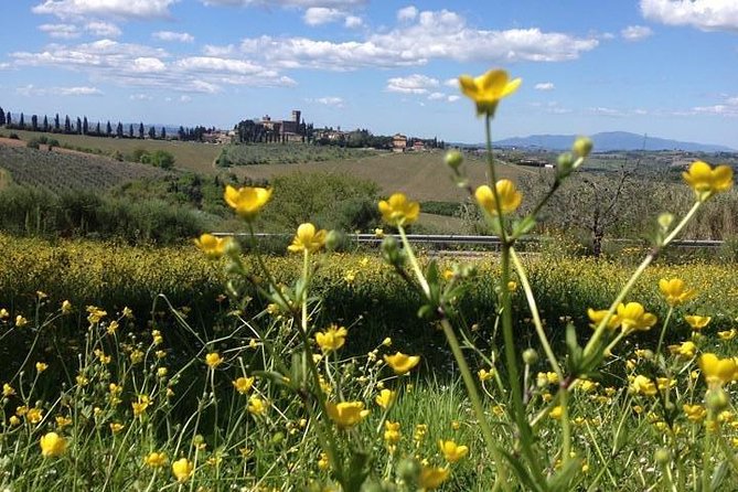 Tuscany Bike Tours Through the Chianti Hills with Wine Tasting - Castle wine tasting and a proper Tuscan lunch
