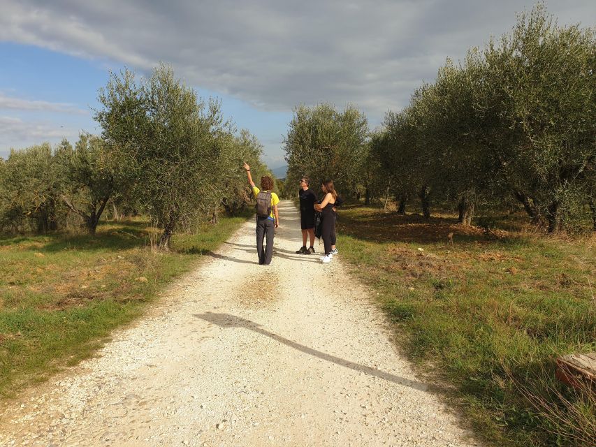 Tuscany Hills Bike Tour with Lunch at farm and Wine Tasting - Lunch at a family-run farm