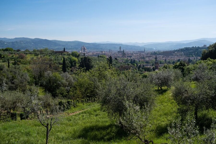 Tuscany Hills Bike Tour with Lunch at farm and Wine Tasting - Starting in Florence at Via del Campuccio