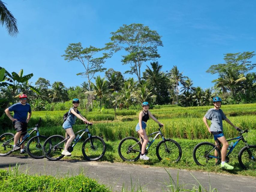 Ubud: Downhill Cycling with Volcano, Rice Terraces, and Meal - Who should book this Ubud cycling tour?