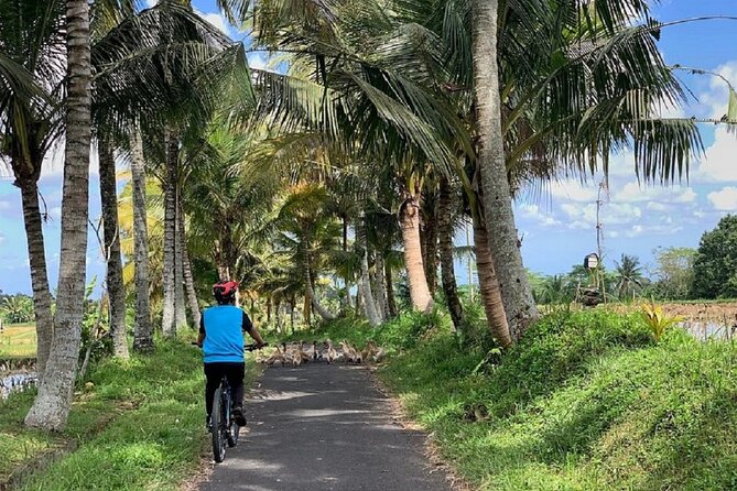 Ubud: Downhill Cycling with Volcano, Rice Terraces, and Meal - Village roads, rice fields, and local life