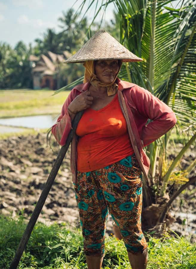 Ubud: Downhill Cycling with Volcano, Rice Terraces, and Meal - Is $36 a good value?