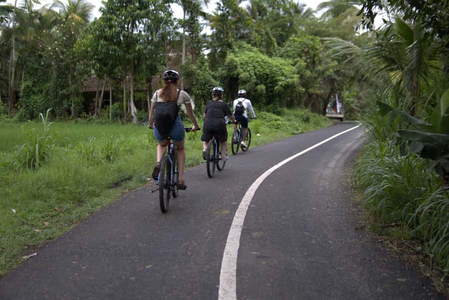 Ubud: E-Bike Tour with Rice Terrace and Village Visit - Riding through villages and working rice fields