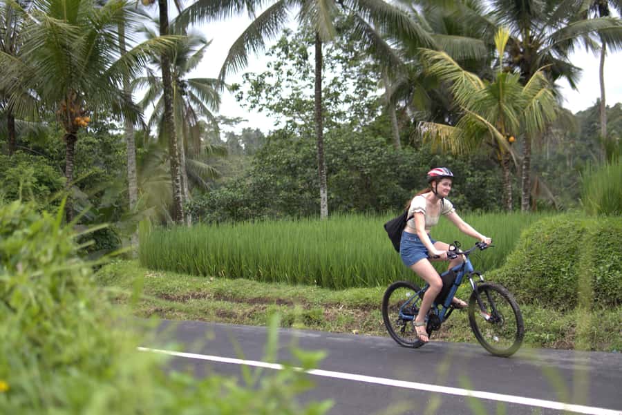 Ubud: E-Bike Tour with Rice Terrace and Village Visit - Tegallalang terrace views and lunch