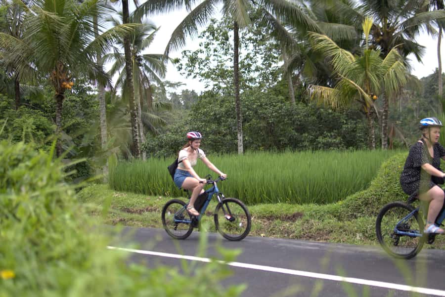 Ubud: E-Bike Tour with Rice Terrace and Village Visit - Family compounds and the everyday side of Bali