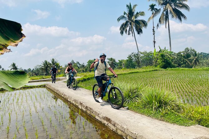 Ubud eBikes Tour to Tegallalang Rice Terrace - Inside a traditional Balinese family compound