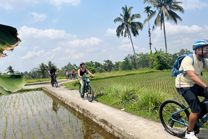 Ubud eBikes Tour to Tegallalang Rice Terrace - Village temples and the meaning behind the scenery