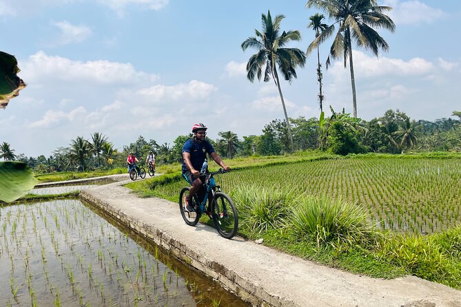 Ubud eBikes Tour to Tegallalang Rice Terrace - Tegallalang Rice Terrace and lunch with a view