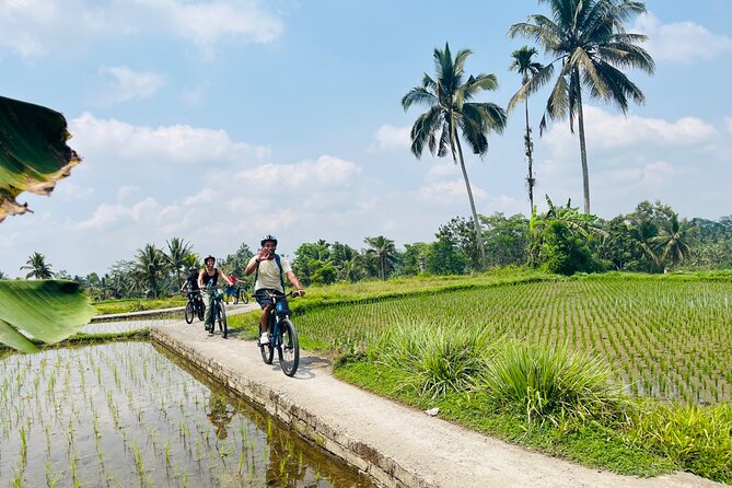 Ubud eBikes Tour to Tegallalang Rice Terrace - What the $30.55 price really buys
