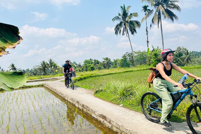 Ubud eBikes Tour to Tegallalang Rice Terrace - Starting near Tegallalang rather than central Ubud