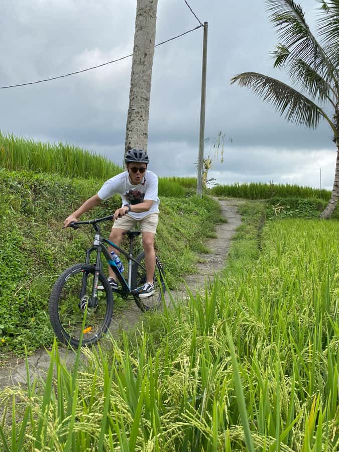 Ubud : PRIVATE Bike Tour inside Rice Field Ubud Countryside - Regular Bikes or an E-Bike?